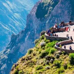 Andean condors soaring over the deep walls of Colca Canyon, with dramatic cliffs and morning light.